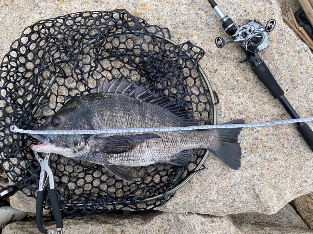 淀川水系チニング