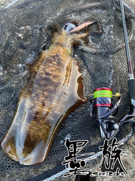 朝まずめ2時間勝負