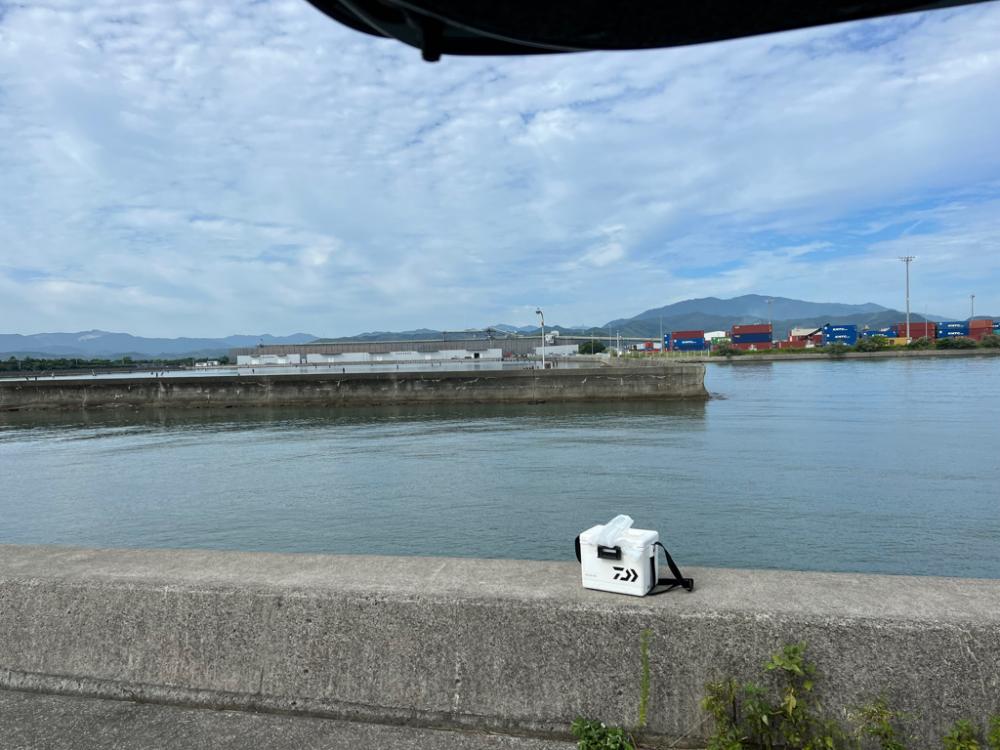 マゴチ　ヒラメ