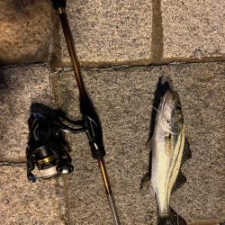 ライトゲーム！！