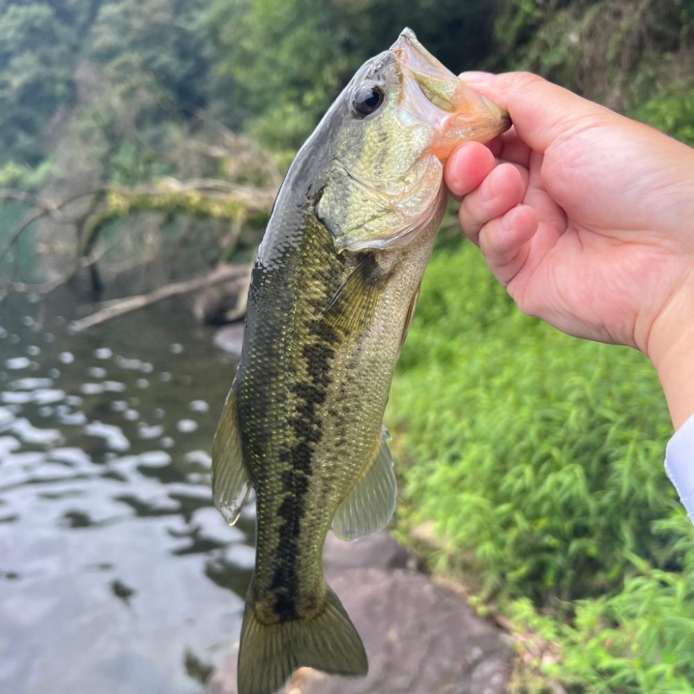 チクショー‼︎