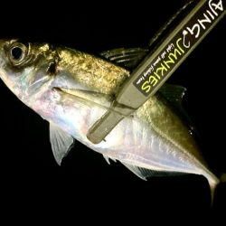 抜けたか〜汗笑