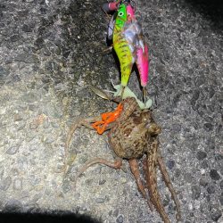 風が強かったです