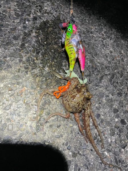 風が強かったです