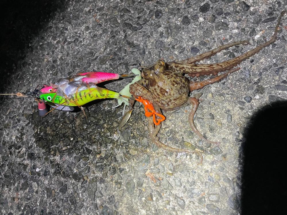 風が強かったです