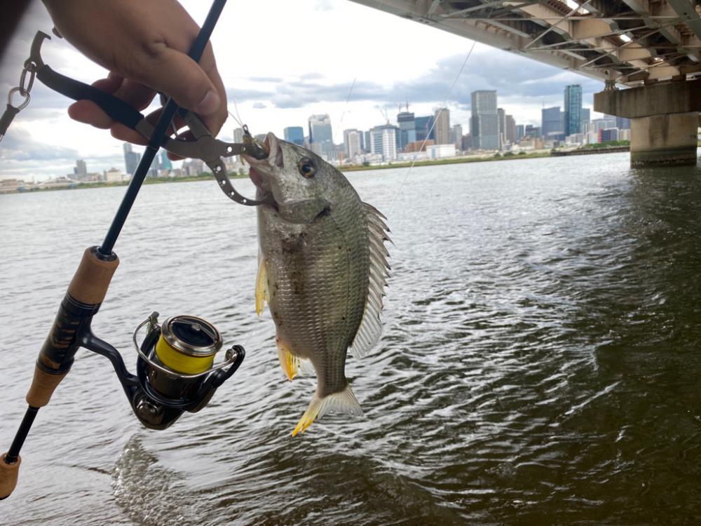 ハゼクラとチニング