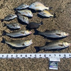 暑さが厳しい中