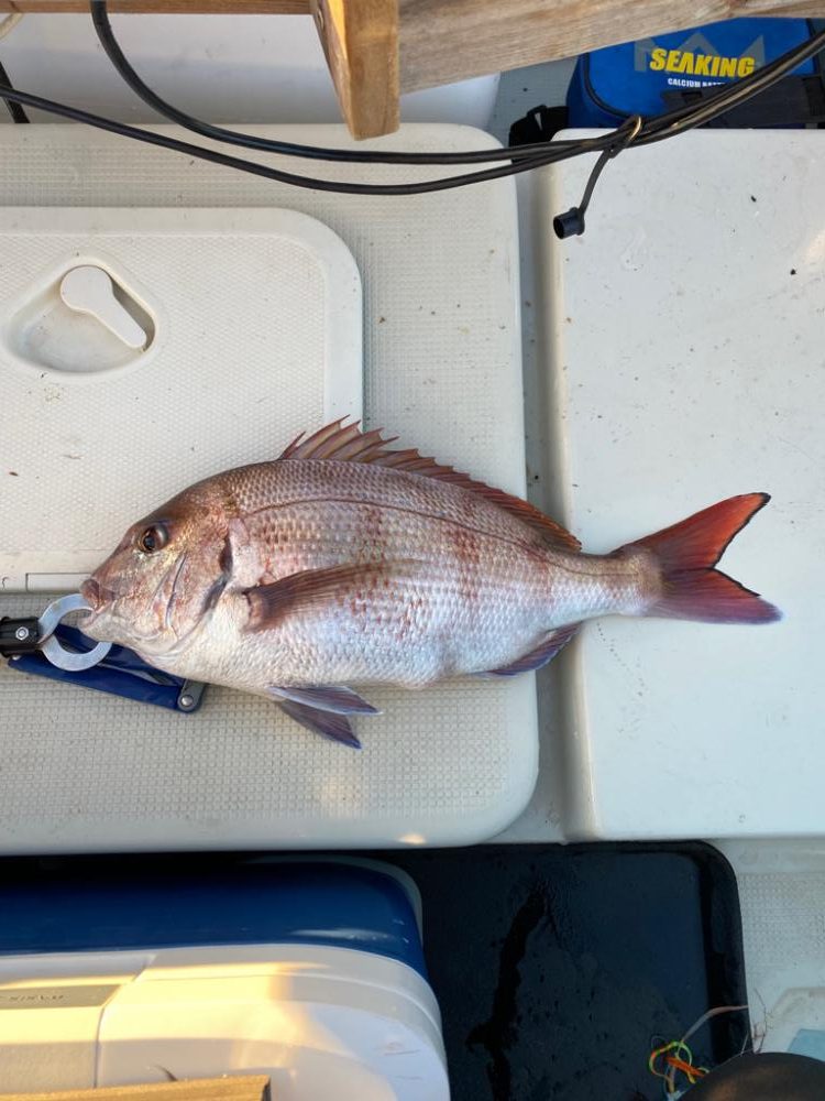 友人のプレジャーボート釣行