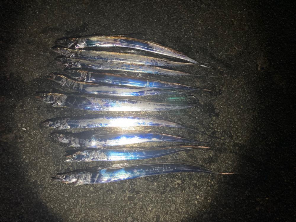 タチウオ釣り