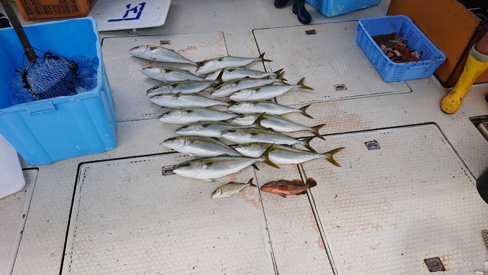 釣船　KANEMOさんにて