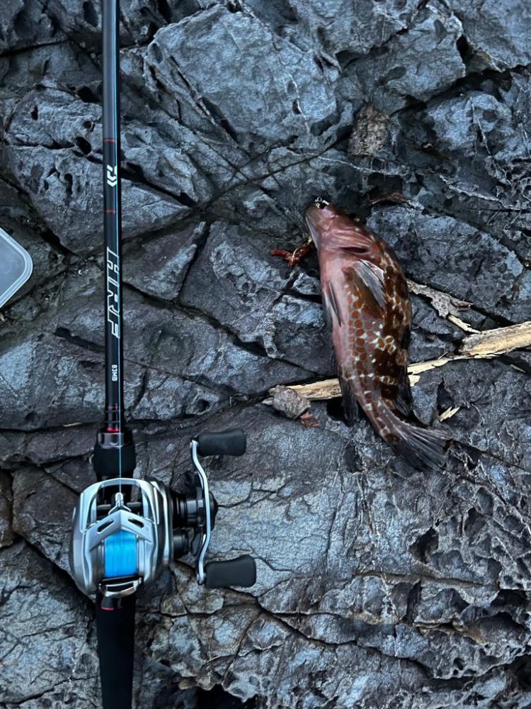 小浜ライトゲーム