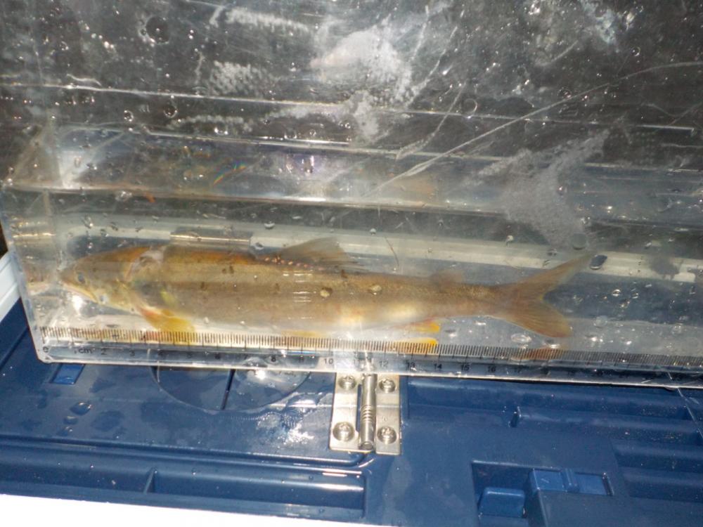 美山第8戦〜白川、そして連敗脱出〜