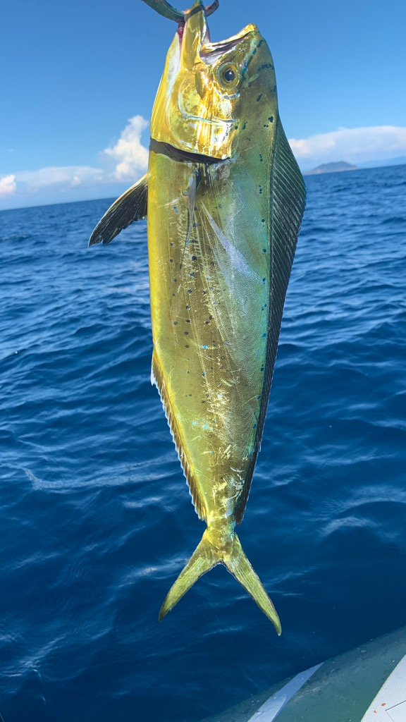 酷暑のボート釣行