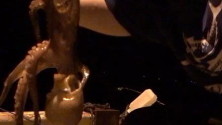 チョイ投げでマダコ