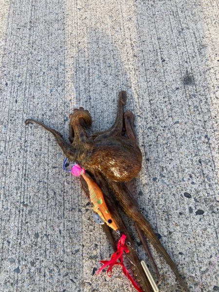 ようやく1匹釣れた