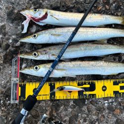 産卵期終わったっぽい