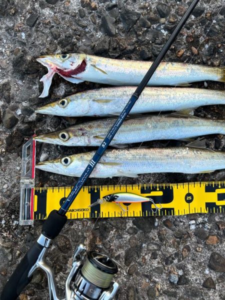 産卵期終わったっぽい