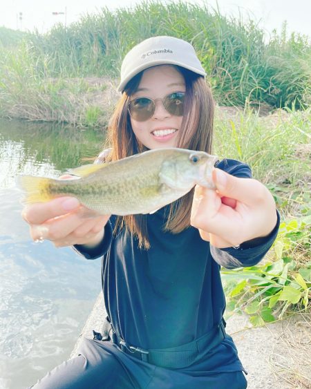 小バスに癒された