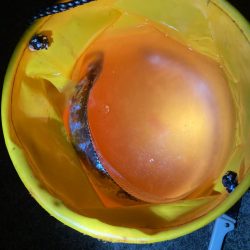 風が強すぎて…