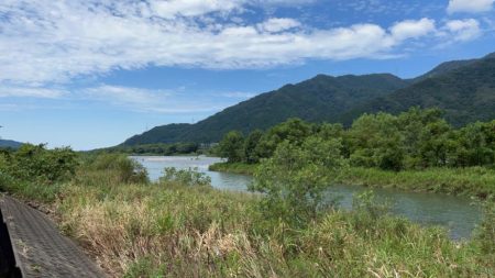 九頭竜川鮎釣り