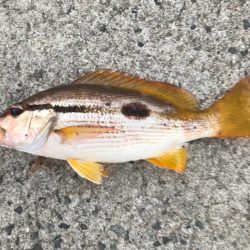 プチ遠征🚗💦…