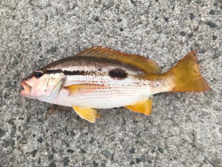 プチ遠征🚗💦…