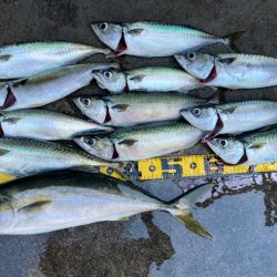 ショアジギング爆