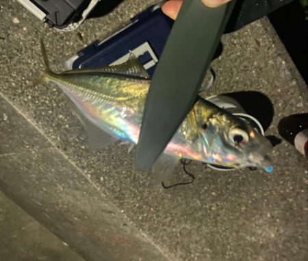 Newロッド鱗付けアジング