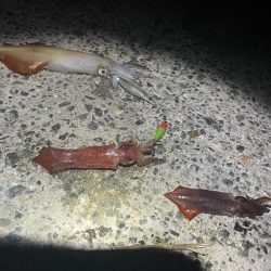 一瞬時合ありました