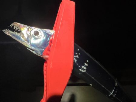 鯵を探して三千里 Vol.70