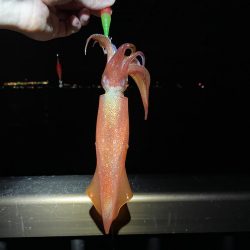 楽しめました^_^