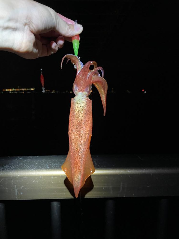 楽しめました^_^