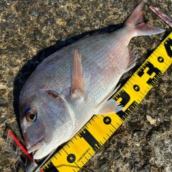 やっと目標のサイズ