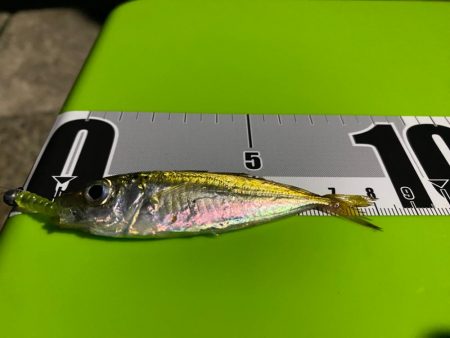 豆アジングの巻