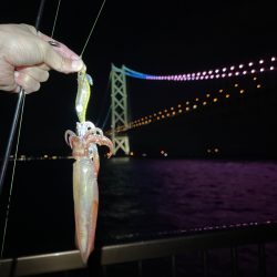 サイズアップ⤴️…