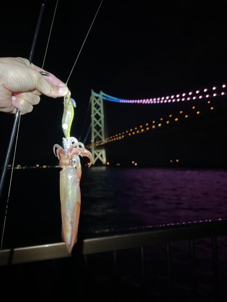 サイズアップ⤴️…