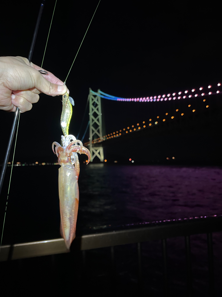 サイズアップ⤴️