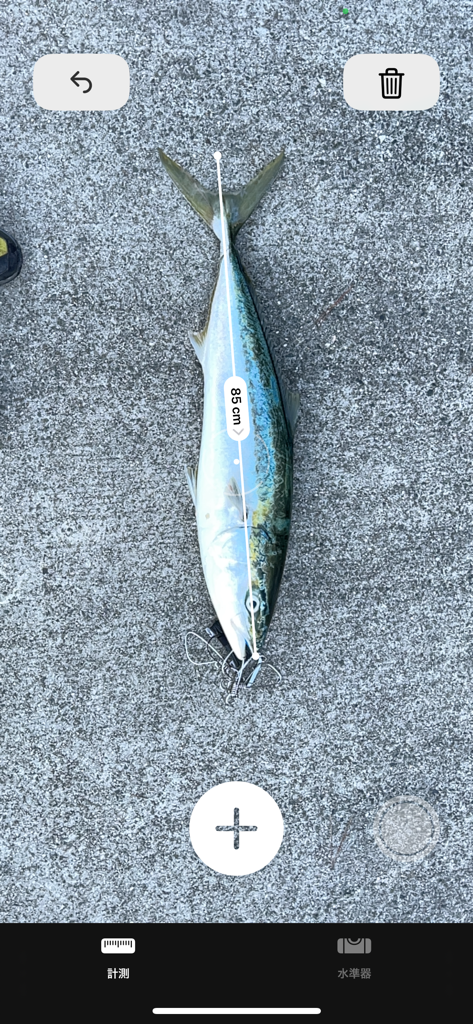 久しぶりの青物狙い