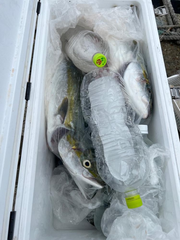 台風前の大漁！！