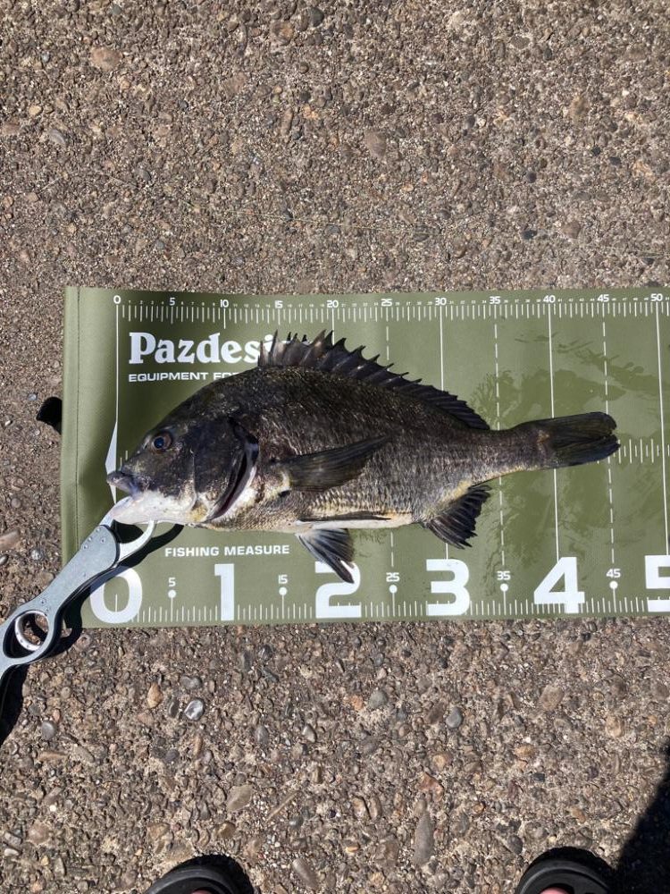 ⭐️岸ジギ釣行⑤