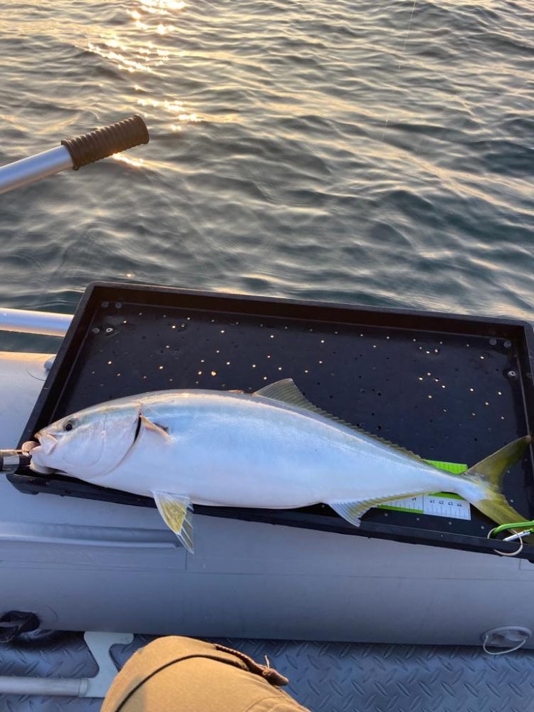 マイボート釣行