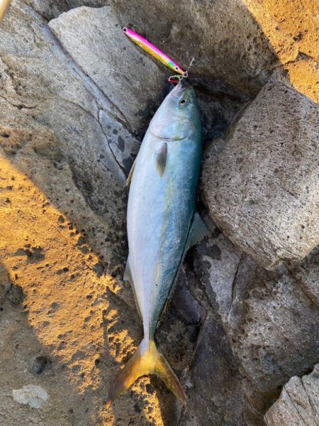 京丹後エリア　ショアジギング