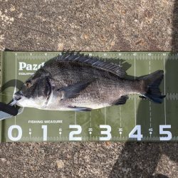 ⭐️岸ジギ釣行…