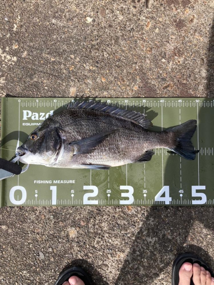 ⭐️岸ジギ釣行