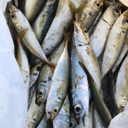 今日は、南蛮漬けに。