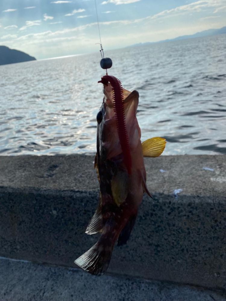 ファミリーフィッシング