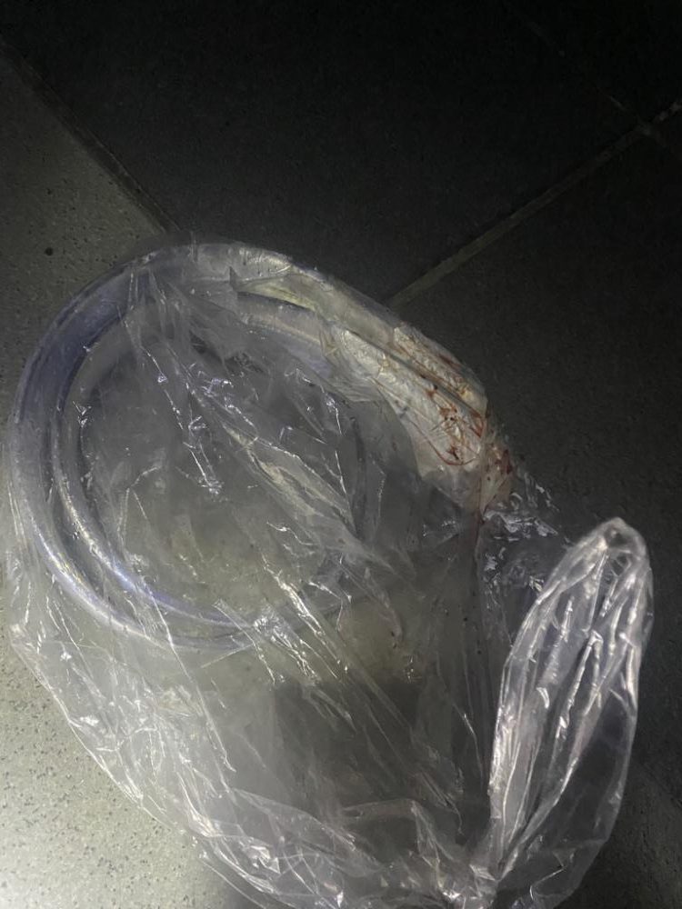 到着後パタパタっと釣れましたが…