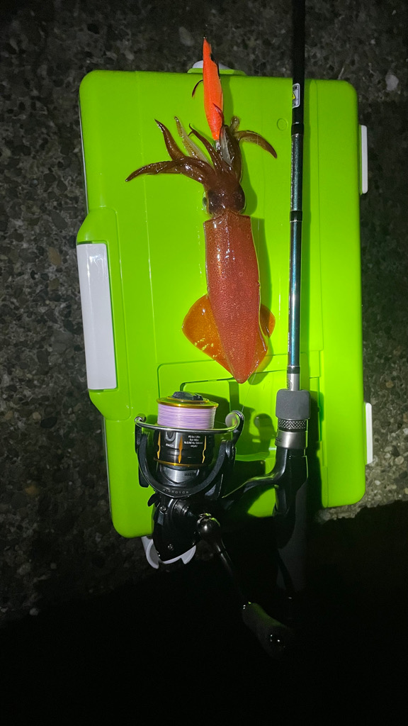 稲光のおかげ？