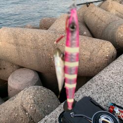 逃した魚はでかい