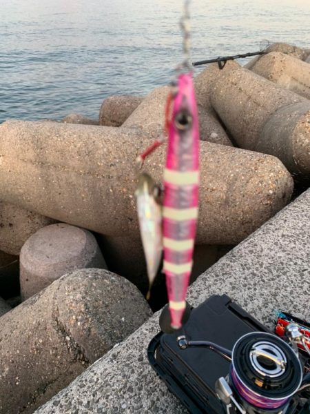 逃した魚はでかい